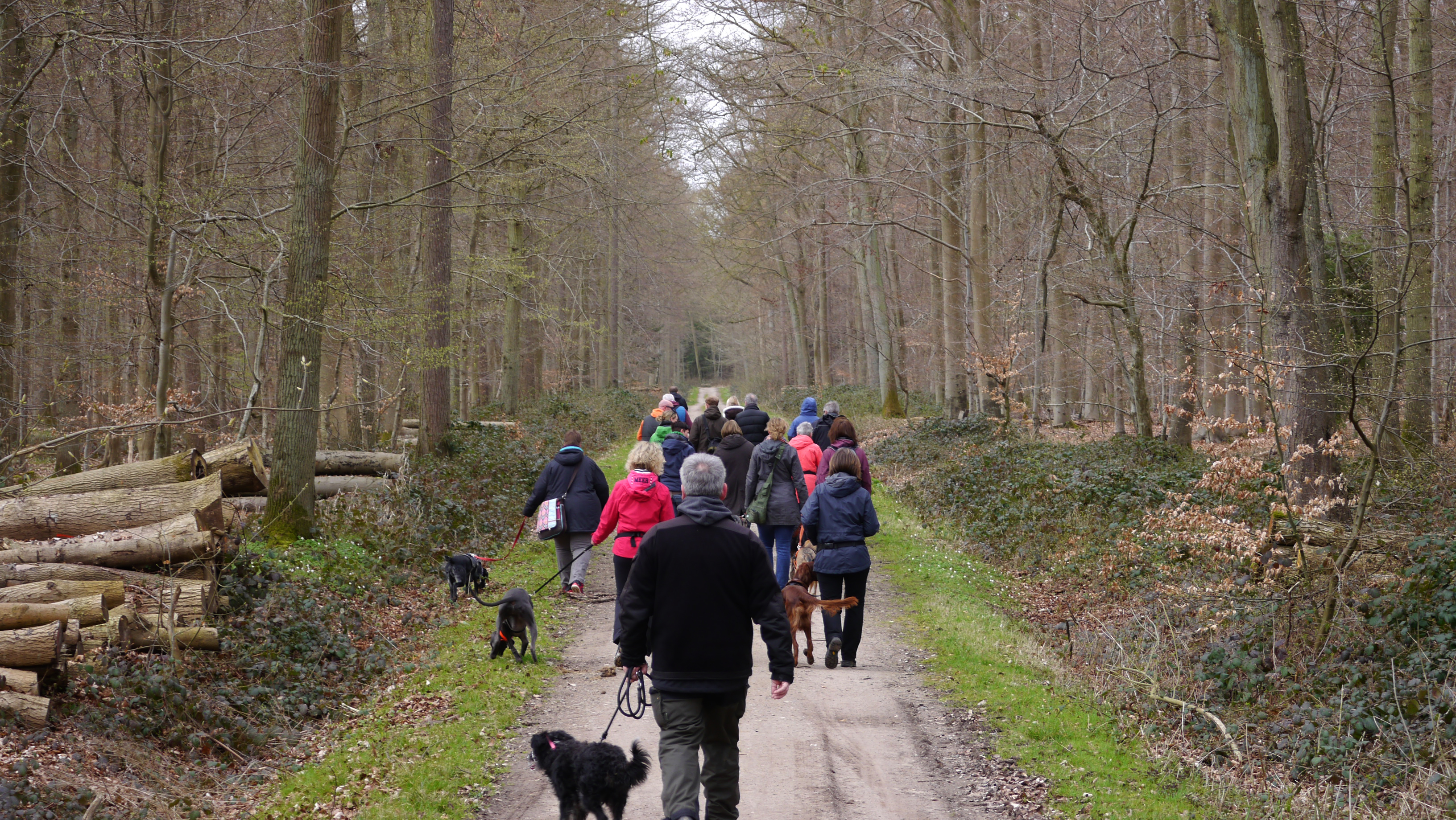 Hund&amp;Du Ihre Hundeschule im Kreis Gütersloh Persönliches