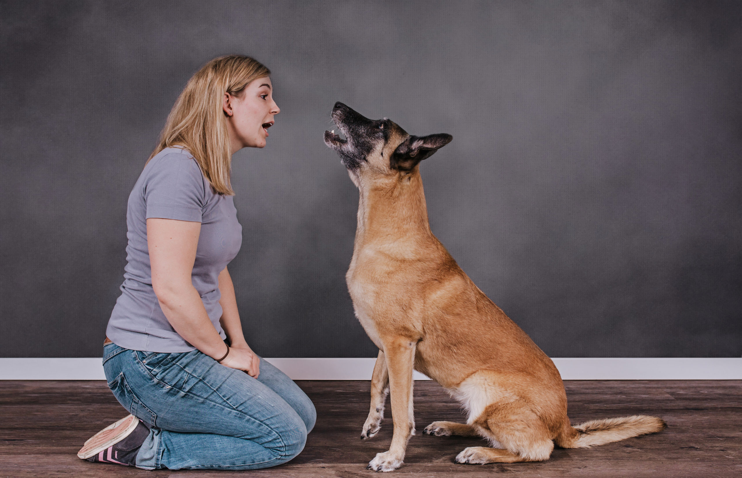 07.07.2025: Vortrag „Die Sprache der Hunde“